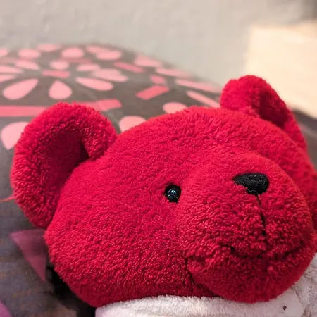 La Bi-coque Du Courtgain, Charmante Et Atypique Hébergement de vacances Saint-Valery-sur-Somme